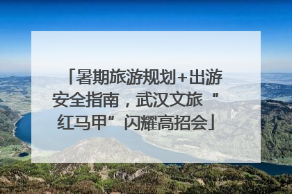 暑期旅游规划+出游安全指南，武汉文旅“红马甲”闪耀高招会