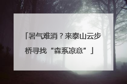 暑气难消？来泰山云步桥寻找“森系凉意”