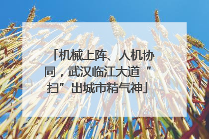 机械上阵、人机协同，武汉临江大道“扫”出城市精气神