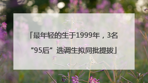 最年轻的生于1999年，3名“95后”选调生拟同批提拔