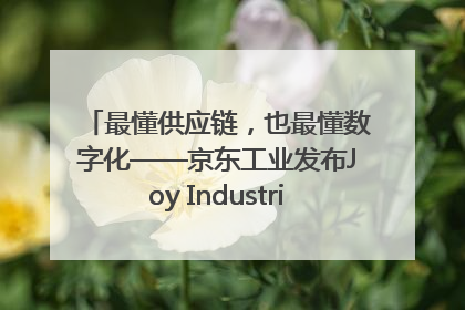最懂供应链，也最懂数字化——京东工业发布Joy Industrial 重塑工业未来