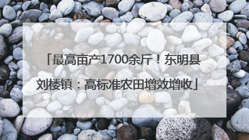 最高亩产1700余斤！东明县刘楼镇：高标准农田增效增收