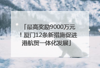 最高奖励9000万元！厦门12条新措施促进港航贸一体化发展