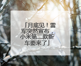 月底见！雷军突然宣布，小米第二款新车要来了