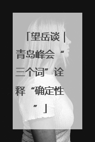 望岳谈｜青岛峰会“三个词”诠释“确定性”