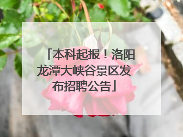 本科起报！洛阳龙潭大峡谷景区发布招聘公告