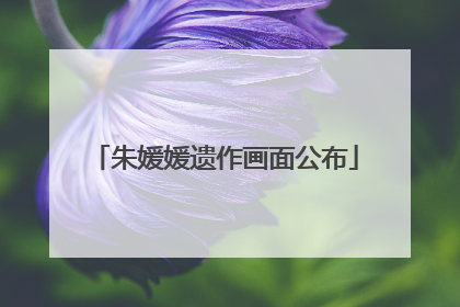 朱媛媛遗作画面公布