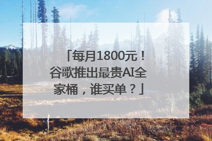 每月1800元！谷歌推出最贵AI全家桶，谁买单？