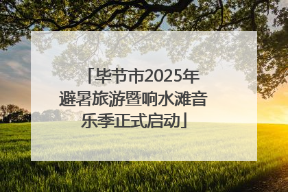 毕节市2025年避暑旅游暨响水滩音乐季正式启动
