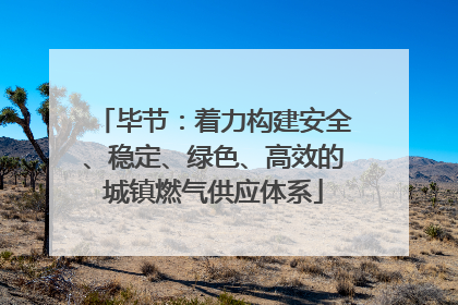毕节：着力构建安全、稳定、绿色、高效的城镇燃气供应体系