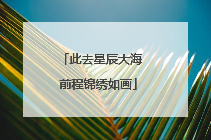 此去星辰大海 前程锦绣如画
