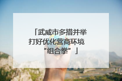 武威市多措并举打好优化营商环境“组合拳”