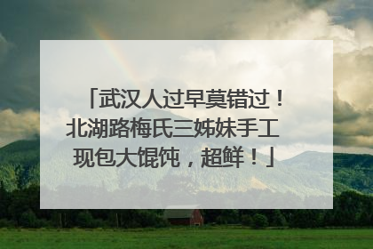 武汉人过早莫错过！北湖路梅氏三姊妹手工现包大馄饨，超鲜！