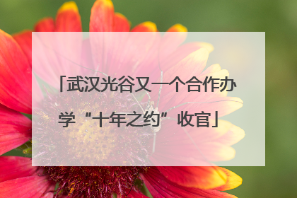 武汉光谷又一个合作办学“十年之约”收官
