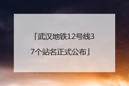 武汉地铁12号线37个站名正式公布