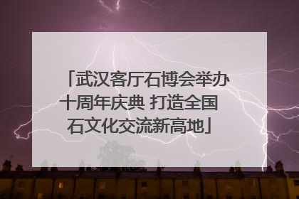 武汉客厅石博会举办十周年庆典 打造全国石文化交流新高地