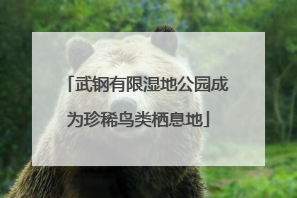 武钢有限湿地公园成为珍稀鸟类栖息地