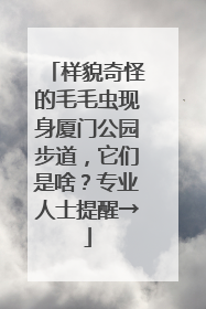 样貌奇怪的毛毛虫现身厦门公园步道，它们是啥？专业人士提醒→