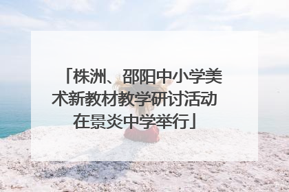 株洲、邵阳中小学美术新教材教学研讨活动在景炎中学举行