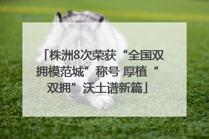 株洲8次荣获“全国双拥模范城”称号 厚植“双拥”沃土谱新篇