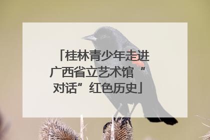 桂林青少年走进广西省立艺术馆“对话”红色历史