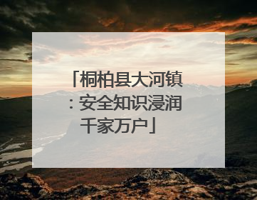 桐柏县大河镇：安全知识浸润千家万户