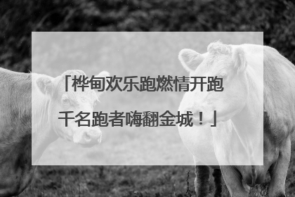 桦甸欢乐跑燃情开跑 千名跑者嗨翻金城！