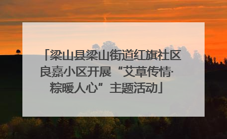 梁山县梁山街道红旗社区良嘉小区开展“艾草传情·粽暖人心”主题活动