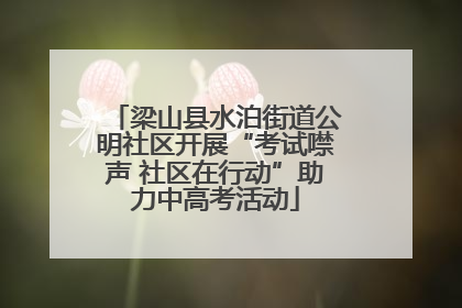 梁山县水泊街道公明社区开展“考试噤声 社区在行动”助力中高考活动