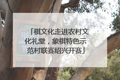 棋文化走进农村文化礼堂，象棋特色示范村联赛绍兴开赛