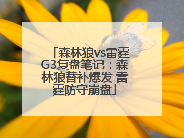 森林狼vs雷霆G3复盘笔记：森林狼替补爆发 雷霆防守崩盘