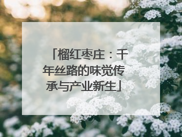 榴红枣庄：千年丝路的味觉传承与产业新生