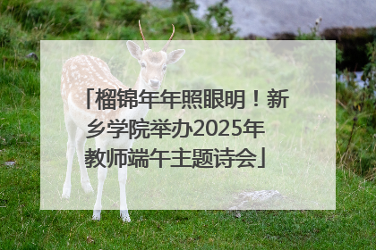 榴锦年年照眼明！新乡学院举办2025年教师端午主题诗会