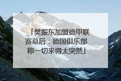 樊振东加盟德甲联赛幕后：德国俱乐部称一切来得太突然