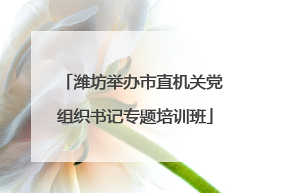 潍坊举办市直机关党组织书记专题培训班