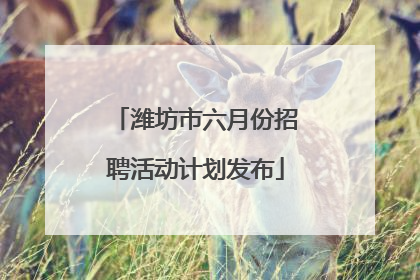 潍坊市六月份招聘活动计划发布