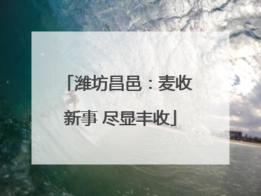 潍坊昌邑：麦收新事 尽显丰收