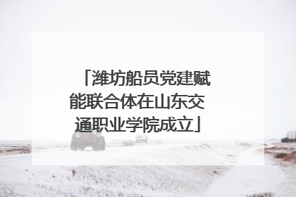 潍坊船员党建赋能联合体在山东交通职业学院成立