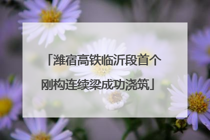 潍宿高铁临沂段首个刚构连续梁成功浇筑