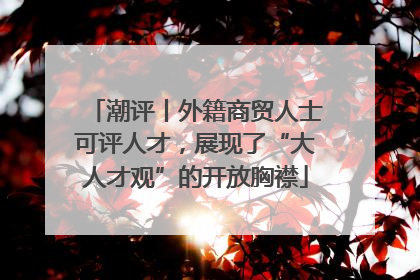 潮评丨外籍商贸人士可评人才，展现了“大人才观”的开放胸襟