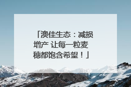 澳佳生态：减损增产 让每一粒麦穗都饱含希望！