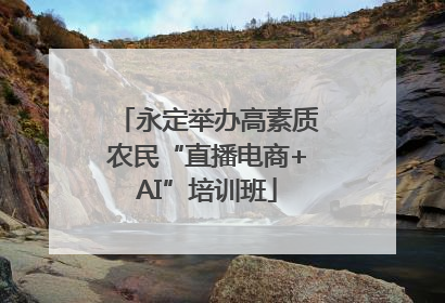 永定举办高素质农民“直播电商+AI”培训班