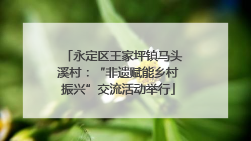 永定区王家坪镇马头溪村：“非遗赋能乡村振兴”交流活动举行