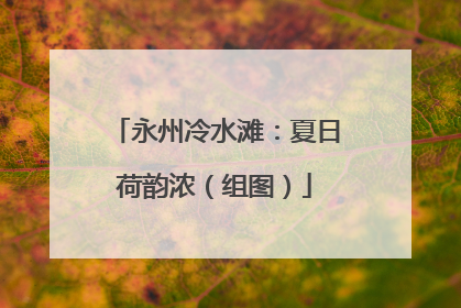 永州冷水滩：夏日荷韵浓（组图）