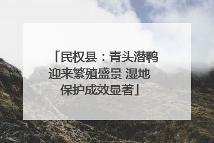 民权县：青头潜鸭迎来繁殖盛景 湿地保护成效显著
