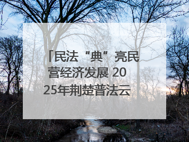 民法“典”亮民营经济发展 2025年荆楚普法云课堂第二期在武汉客厅开讲