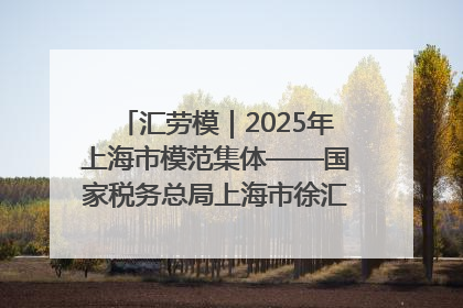 汇劳模｜2025年上海市模范集体——国家税务总局上海市徐汇区税务局第一税务所