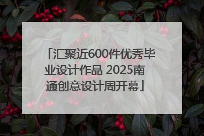 汇聚近600件优秀毕业设计作品 2025南通创意设计周开幕