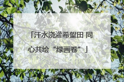汗水浇灌希望田 同心共绘“绿画卷”