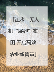 江永：无人机“展翅”农田 开启高效农业新篇章